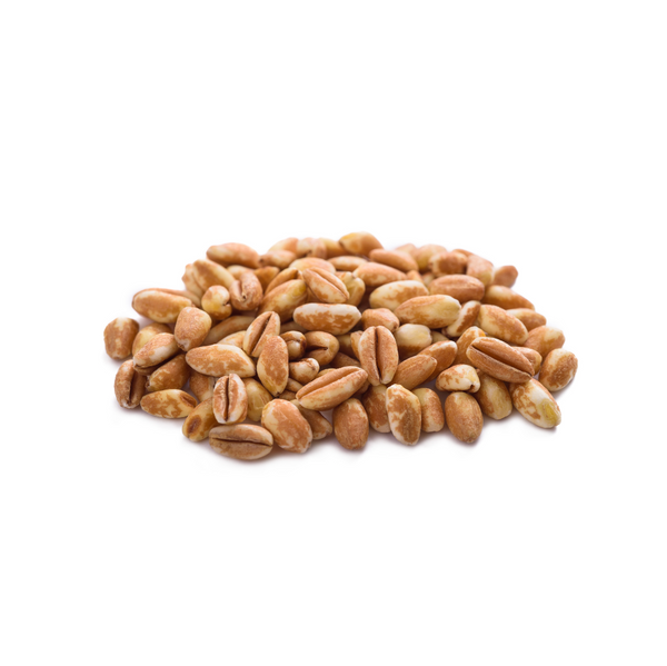 Organic Dark Northern Rye Berries 25lb