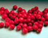 IQF Cranberries - Whole Frozen 2/5lb - Sold by PACK