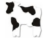 Cruzin Cap - Cow Black/White 1/250ct - Sold by PACK