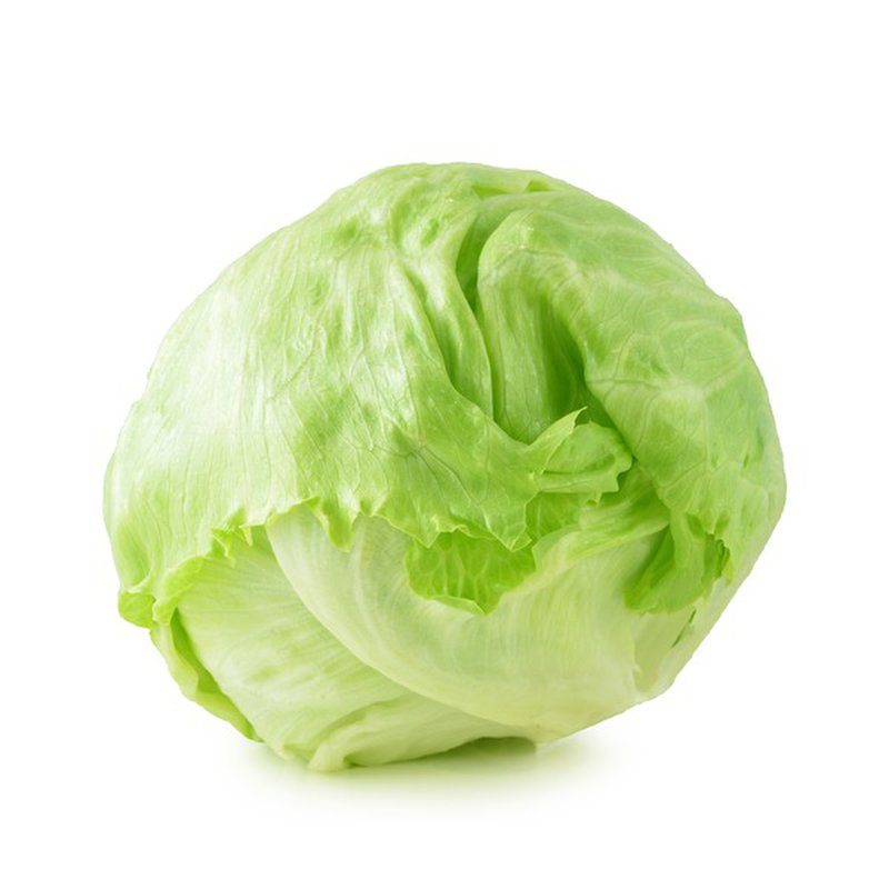 Lettuce Ice Berg 2ct - Sold by PACK - *** special delivery ***