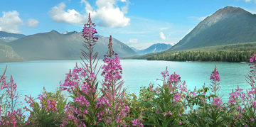 Plan Ahead for a Successful Summer Season with Linford of Alaska