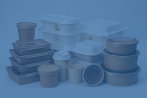 PAPERS GOODS & DISPOSABLES