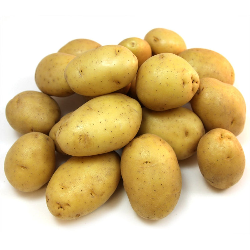 Potato Gold 10lb Bag