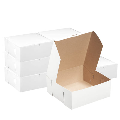 Boxes 10x10x5.5 White Box 100ct