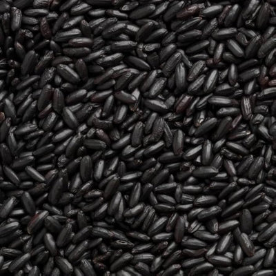 Rice Forbidden 22lb