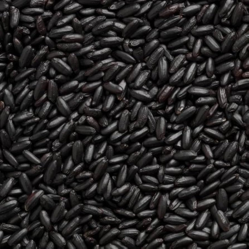 Rice Forbidden 22lb