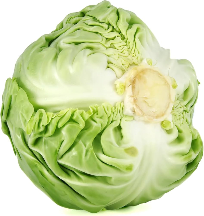 Cabbage Green Fresh