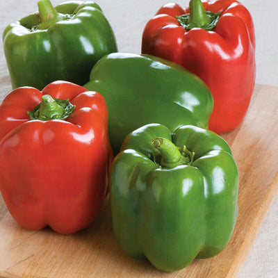 Sweet Peppers 5lbs