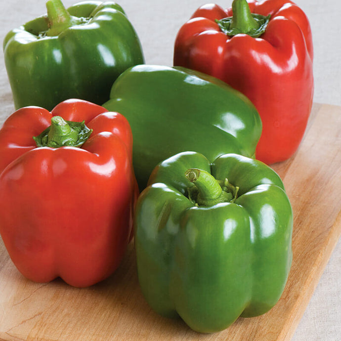 Sweet Peppers 5lbs