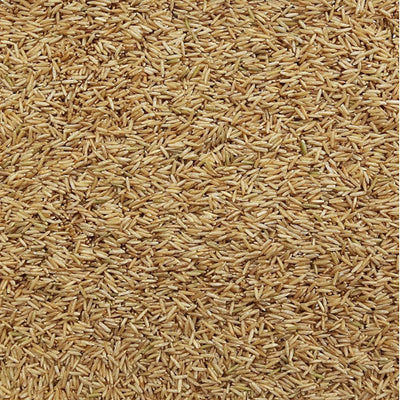 Rice Basmati Brown25lb