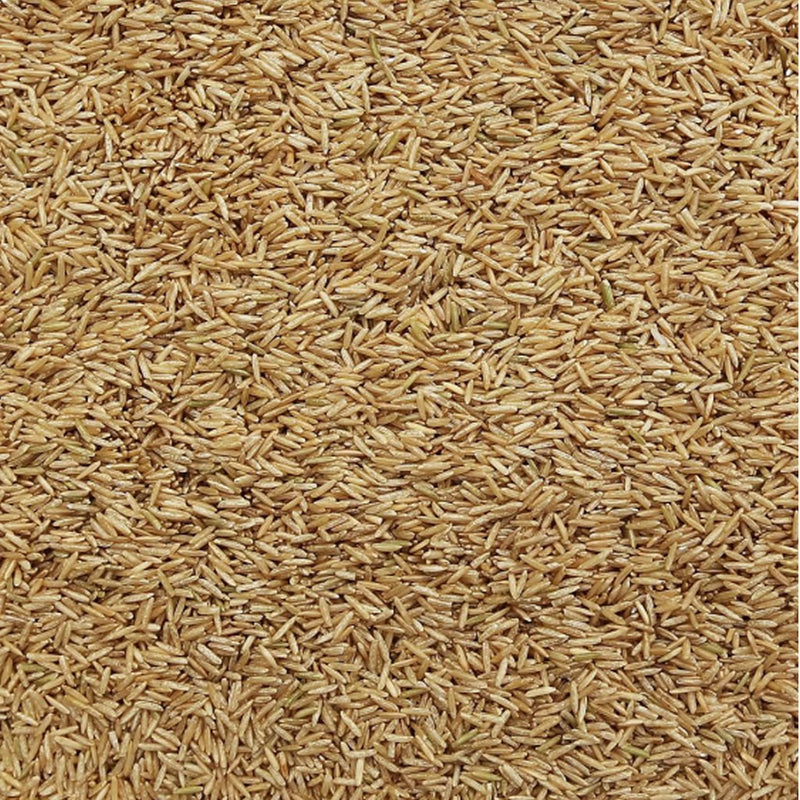 Rice Basmati Brown25lb