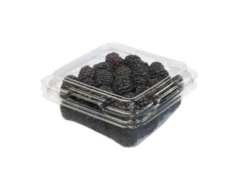Blackberry Clamshell 12/6oz