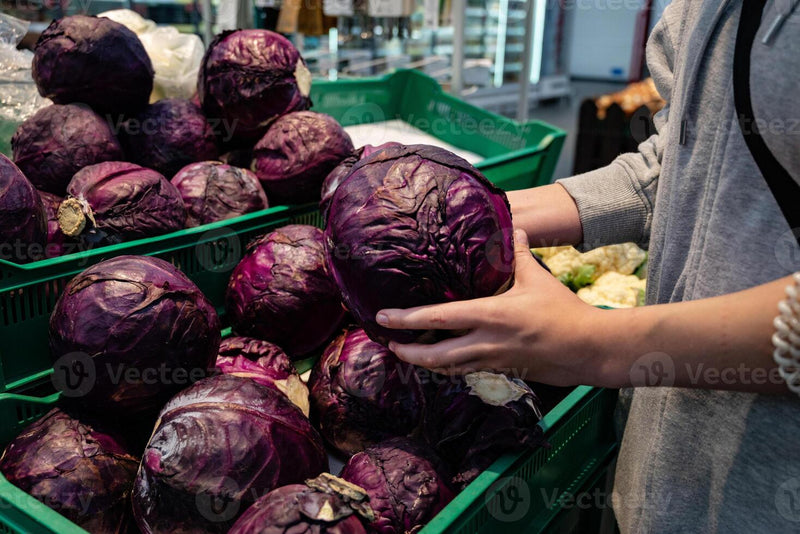 Cabbage Purple Fresh