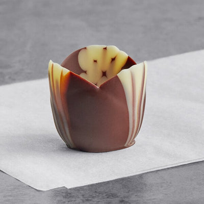 Chocolate Tulip Petit Four Marble 152ct