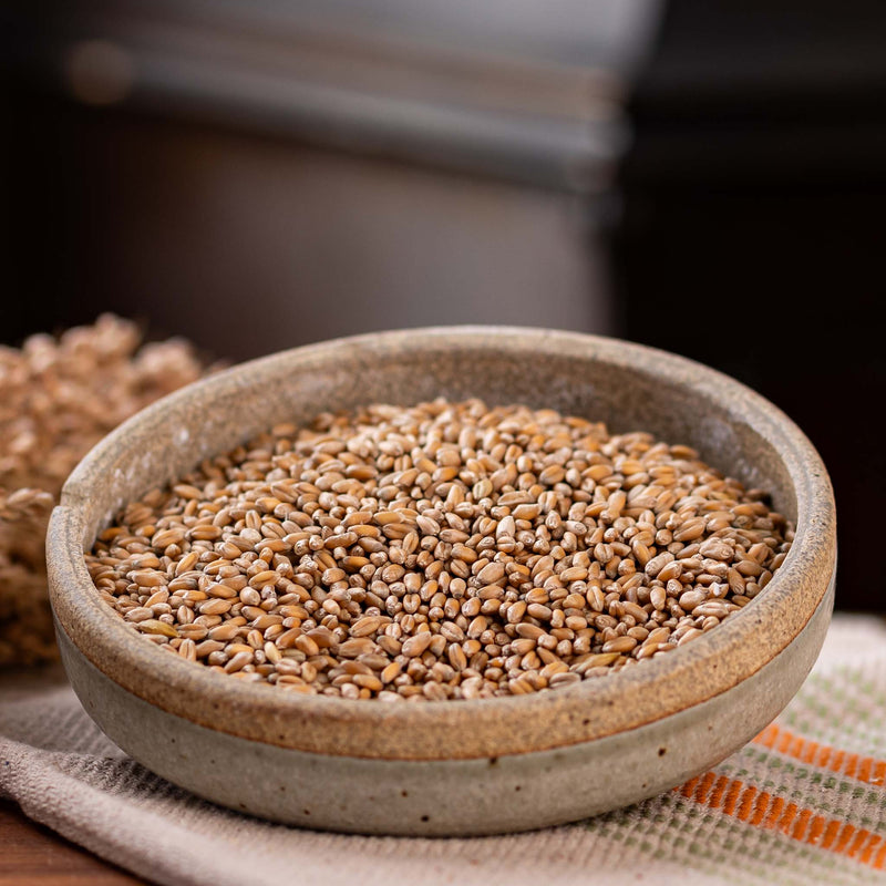 Wheat Berries Red Winter 50lb