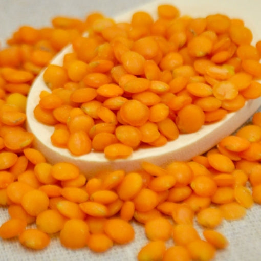 Beans Red Lentils - Dry 25lb
