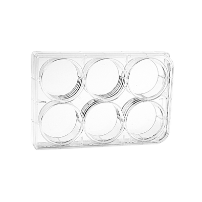 Containers 6 Cell