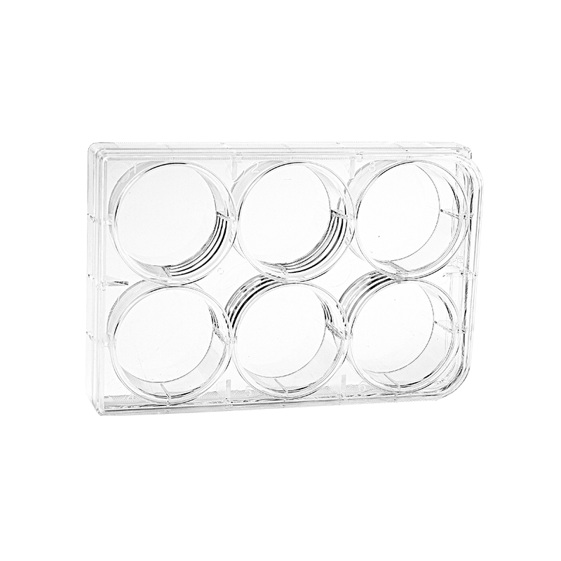 Containers 6 Cell