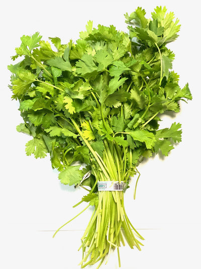 Fresh Cilantro Bunches
