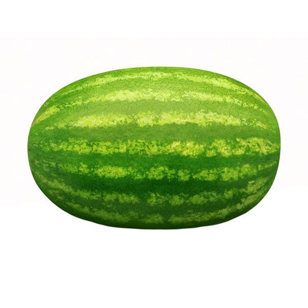 Watermelon Large