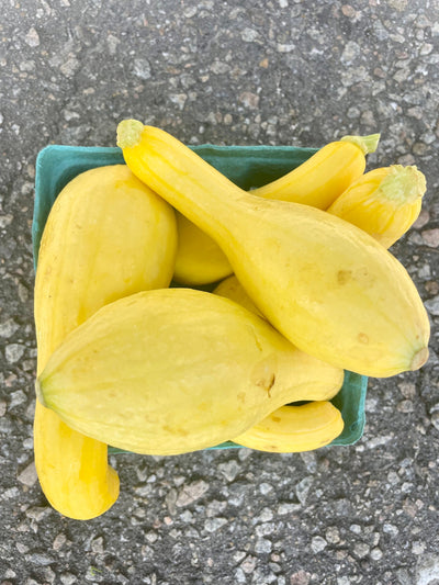 Squash Yellow