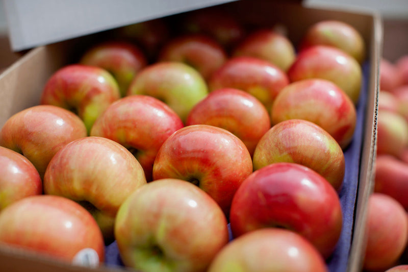 Apples Honey Crisps 20lbs