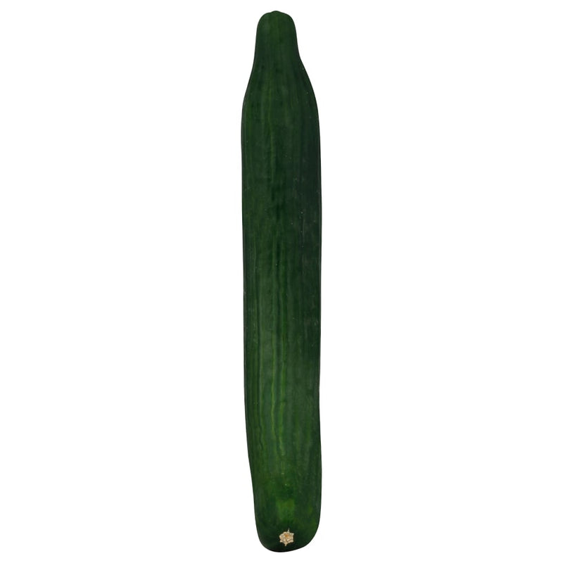 Cucumber, English 1ct