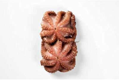 Octopus Cleaned Whole 8/17.6 oz