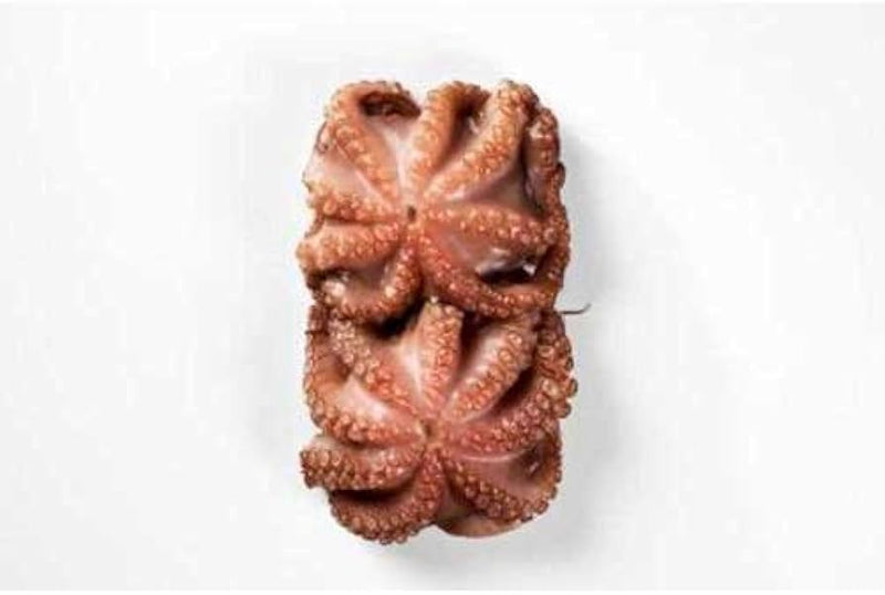 Octopus Cleaned Whole 8/17.6 oz