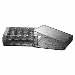 Containers 12 Cell