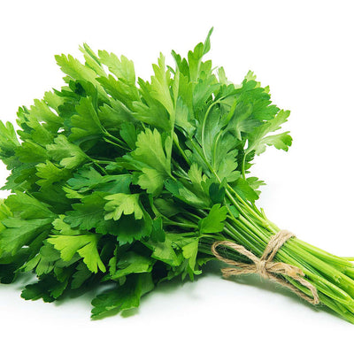 Flat Leaf/Italian Parsley 30ct