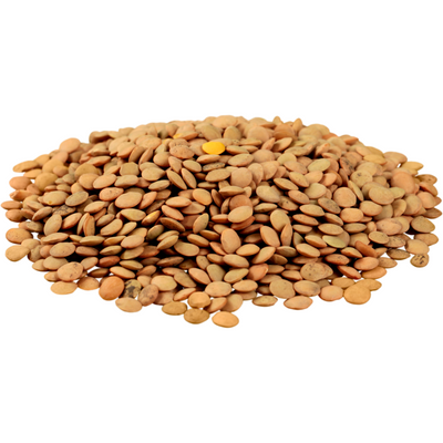 Lentils 4/27