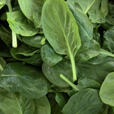 Spinach, Cello Bag W/Stem 2.5lb