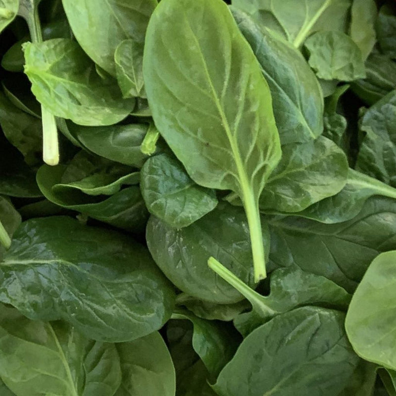 Spinach, Cello Bag W/Stem 2.5lb