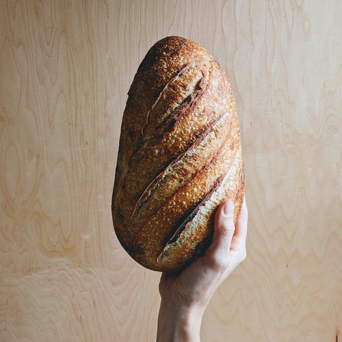 Bread Plain Sourdough Loaf