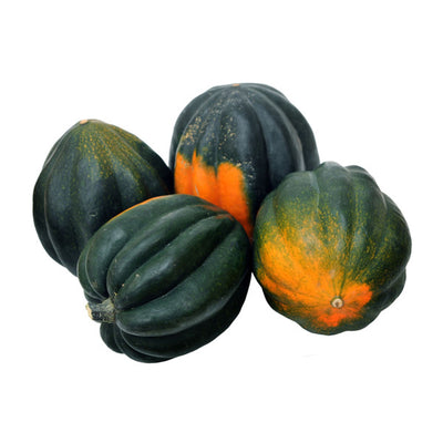 Squash Acorn 35lb