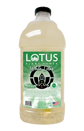 Lotus White 6/.5gal Jugs