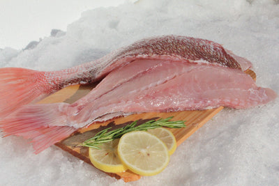 Red Snapper Fillets