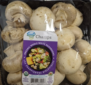 Mushroom Organic Cello Wraped 24oz *** Special Order ***