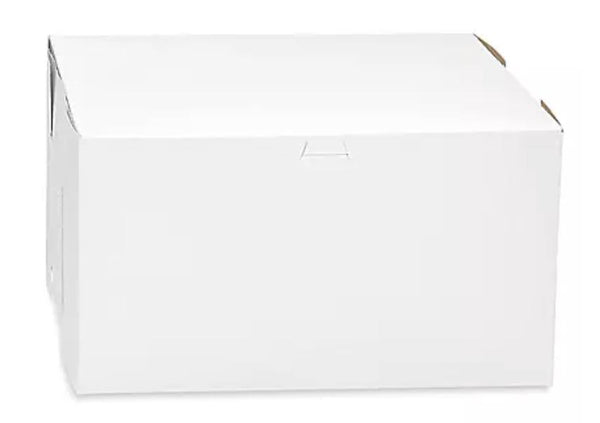 Boxes 10x10x5.5 White Box 100ct