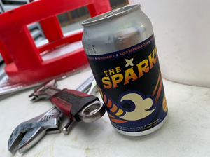 The Spark 12oz 24ct Beach Tribe