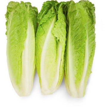 Romaine Hearts 1 bag of 6 *** Special Order ***
