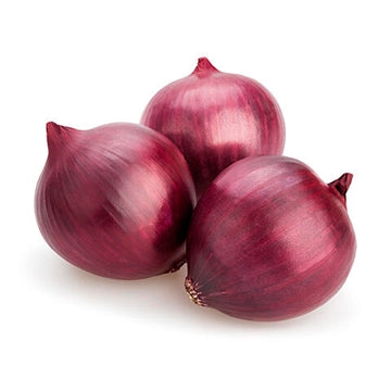 Onion Red 10lb *** Special Order ***