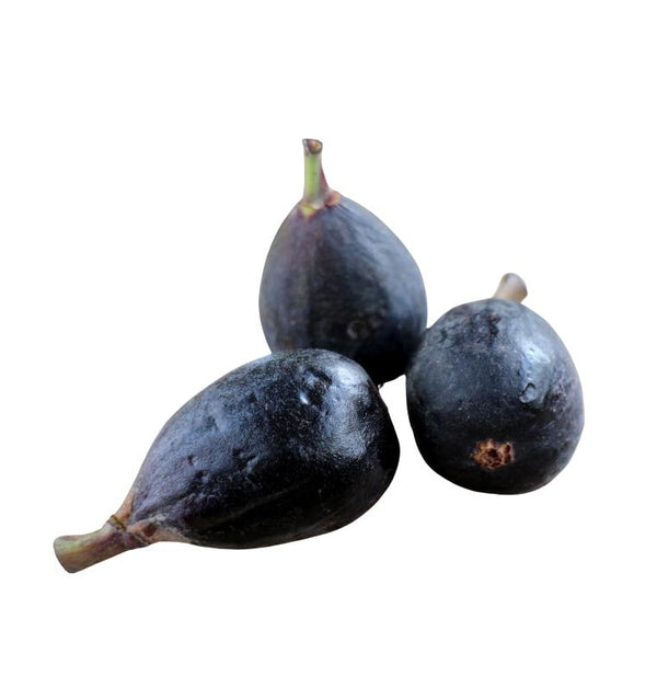 Figs Black Mission 30lb