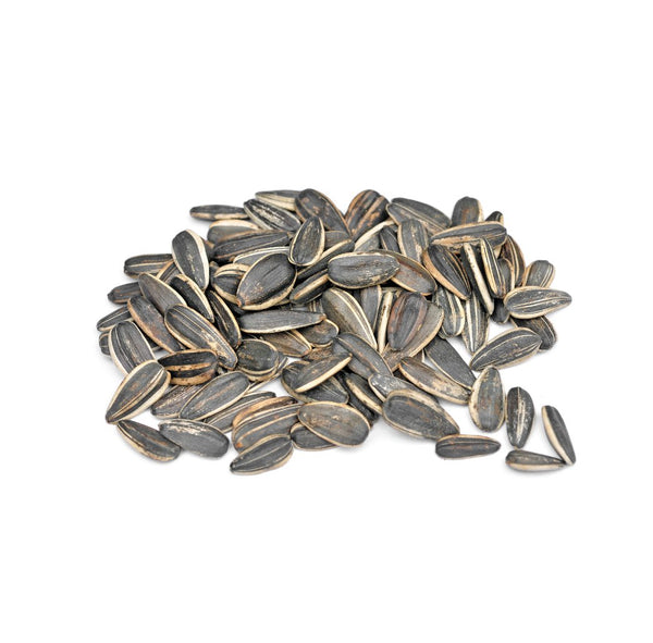 Sunflower Seeds - Raw 25lb