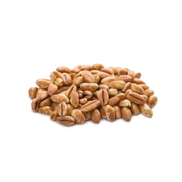 Organic Emmer Farro Berries 25lb