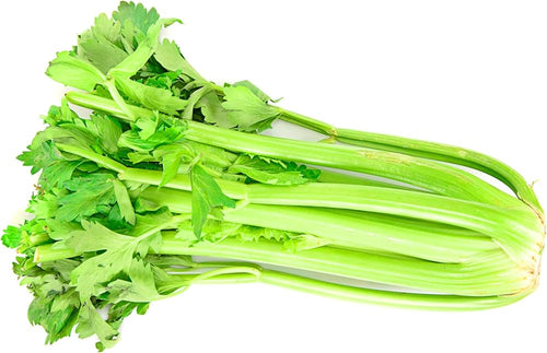 Celery Fresh
