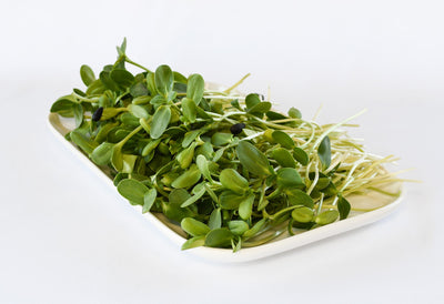 Sunflower Shoots 3oz