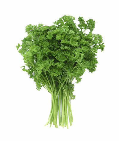 Parsley Fresh Bunch