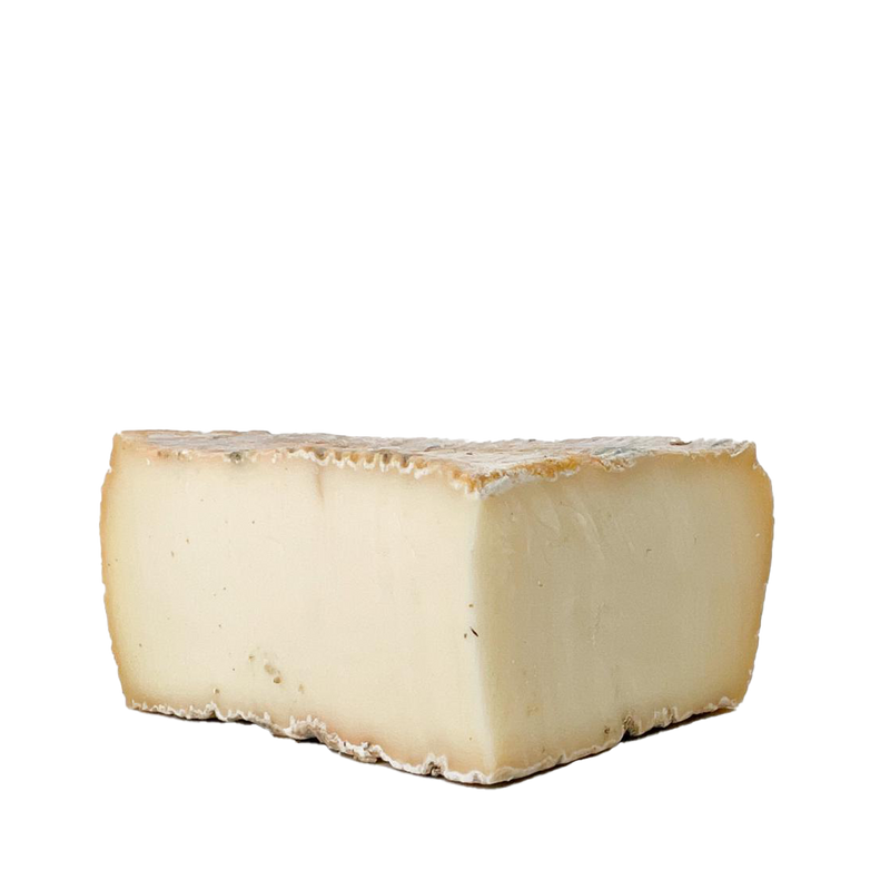 Talleggio DOP